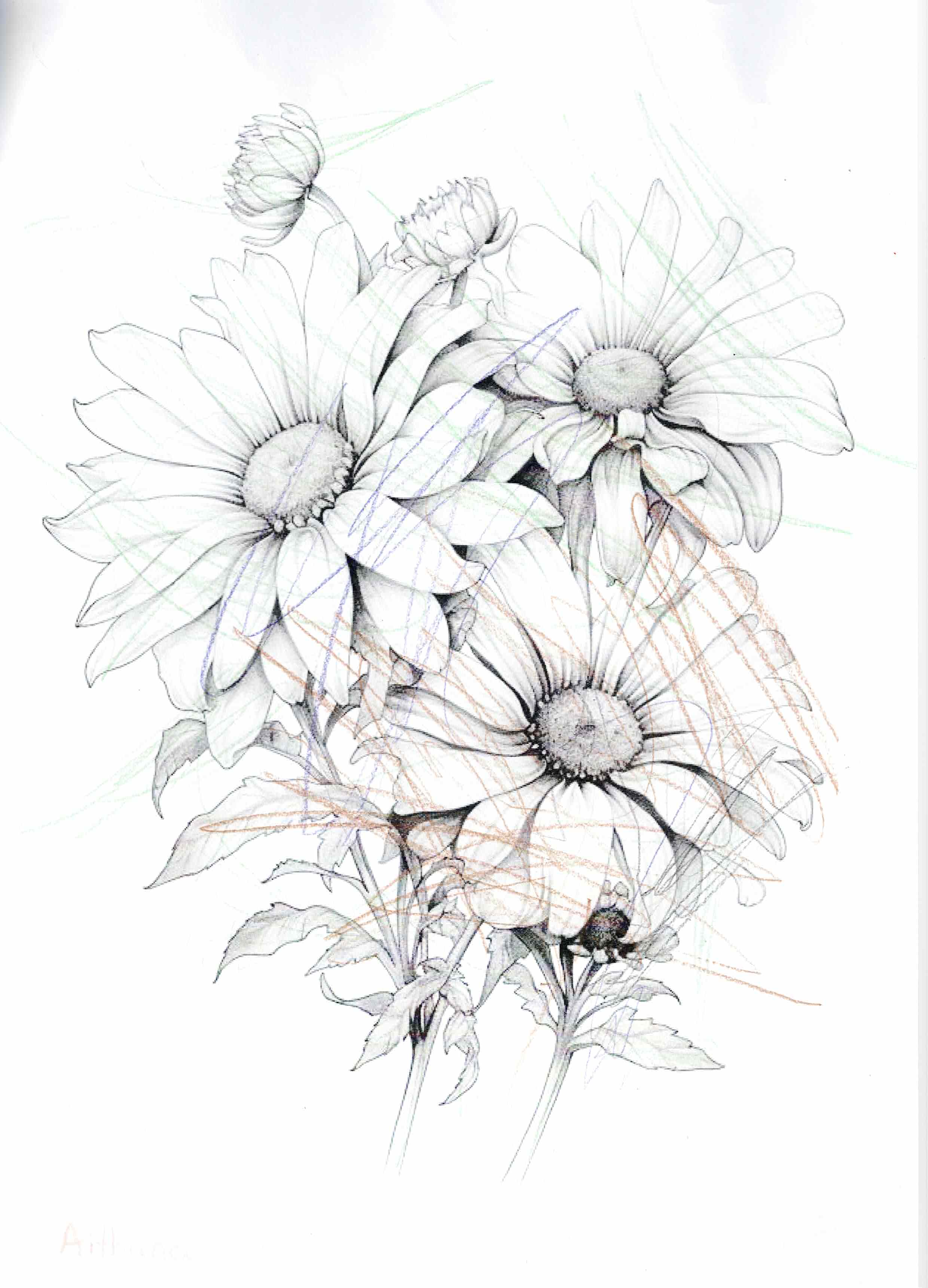 Artwork by Anónimo/a